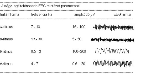 EEG hullámok